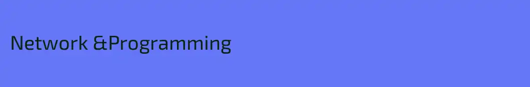 Network &Programming